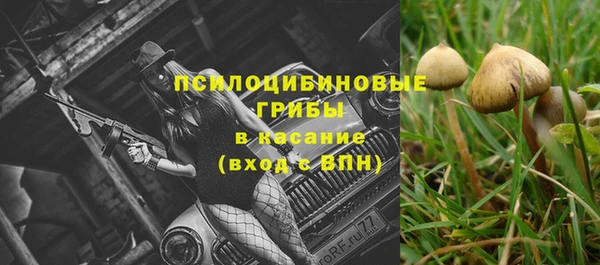 гидропоника Абдулино
