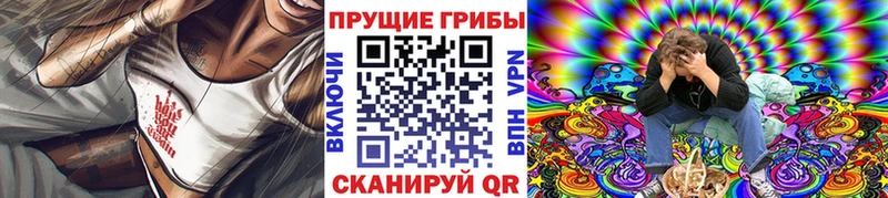 Галлюциногенные грибы Cubensis  наркота  Назрань 