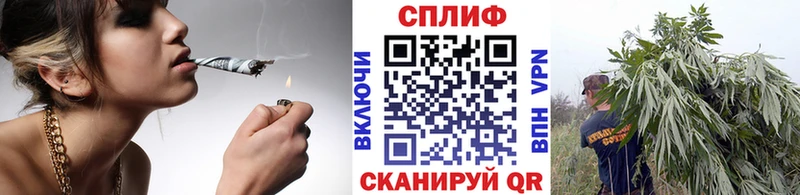 Бошки Шишки план Назрань