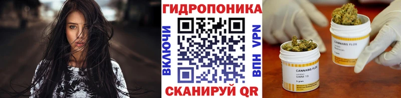 даркнет сайт  Назрань  МАРИХУАНА семена 